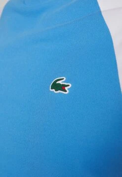 Lacoste Sport Tennis - Sport T-Shirt - Bleu/Blanc -Heren Kledings Winkel a734667cb4734fe0affa1e3df9606ca7